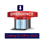 Latest-Changes-in-the-CPT-Emergency-Department-Subsection