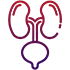 urology