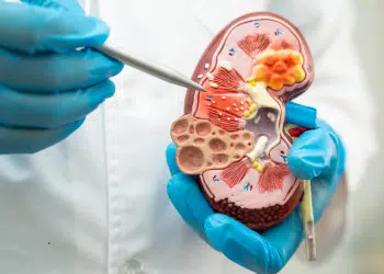 Nephrology Medical Billing
