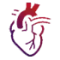 Cardiology.webp