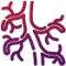 vascular-surgery.webp
